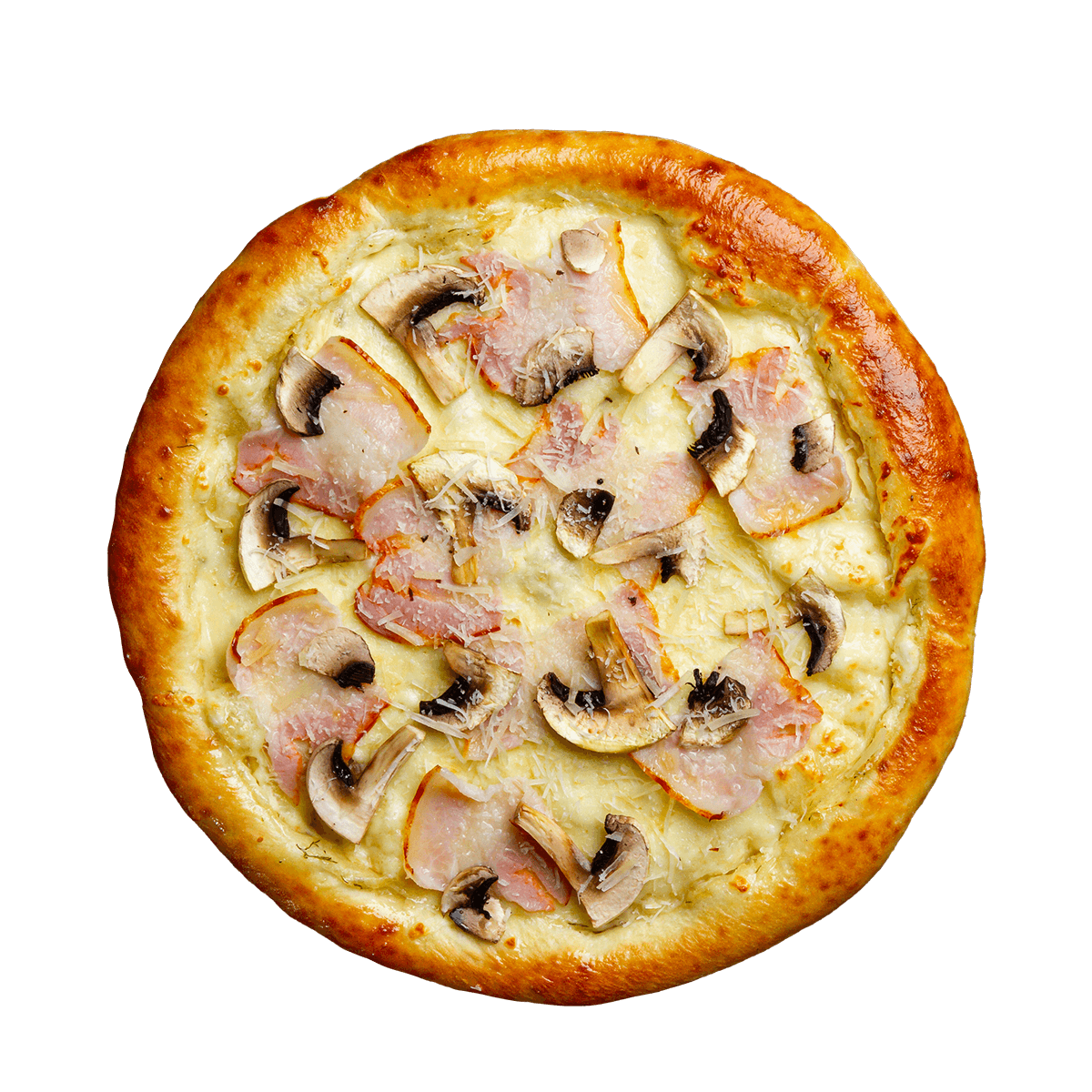 Студенческая 30 см